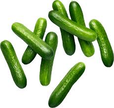 CUCUMBER ORGANIC